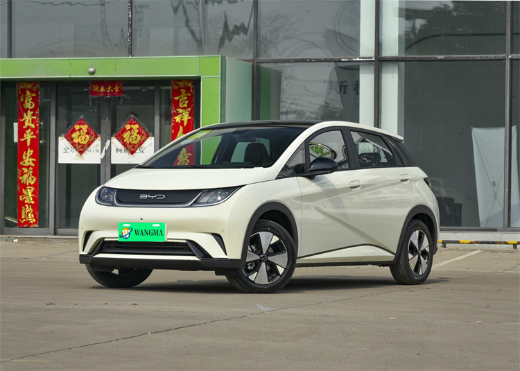2023 BYD electric car BYD Dolphin 420Km range new energy vehicles adult ev car BYD Dolphin