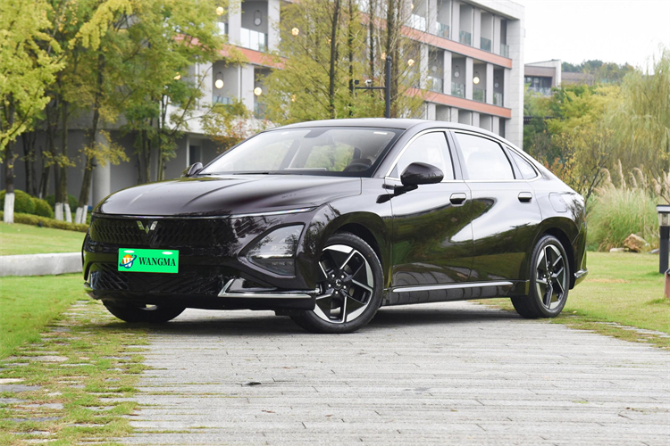 2023 New cars Wuling Starlight 1.5L Hybrid New Energy Vehicles Wuling Xingguang PHEV
