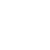 ins-2